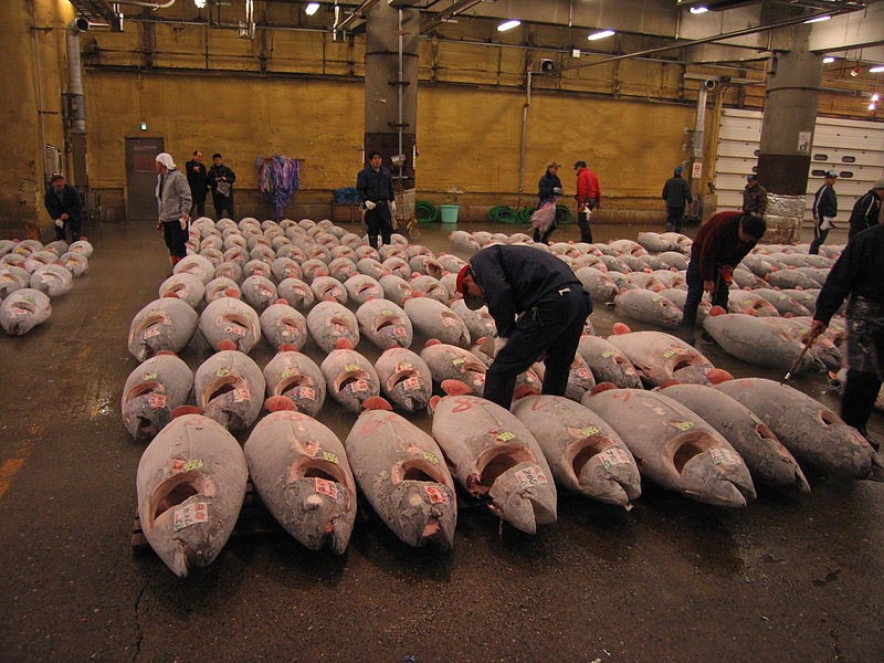 中国によるIUU漁業についての報告
